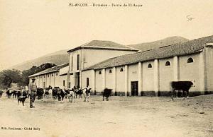 EL ANCOR MADRAGUE LES ANDALOUSES  (15)